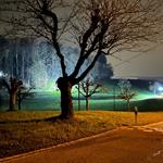 Bildergallerie anzeigen